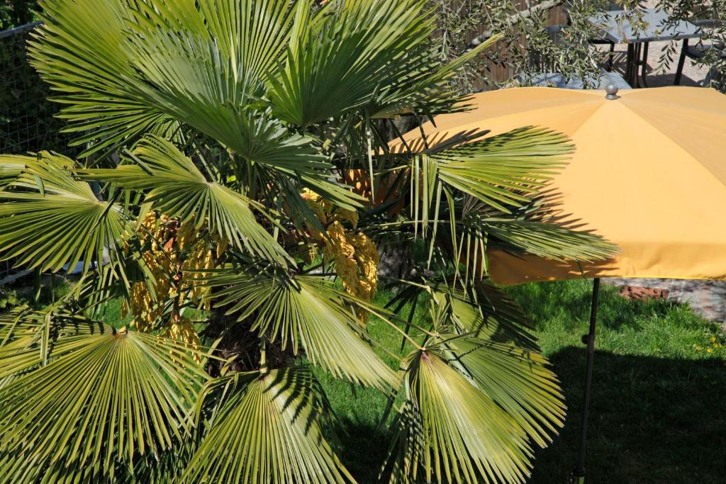 Hotel Jardis (Adults Only) Lana Exterior foto